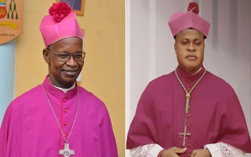 Newly Created African Cardinals Appointed to Vatican’s Laity, Christian Unity Dicasteries