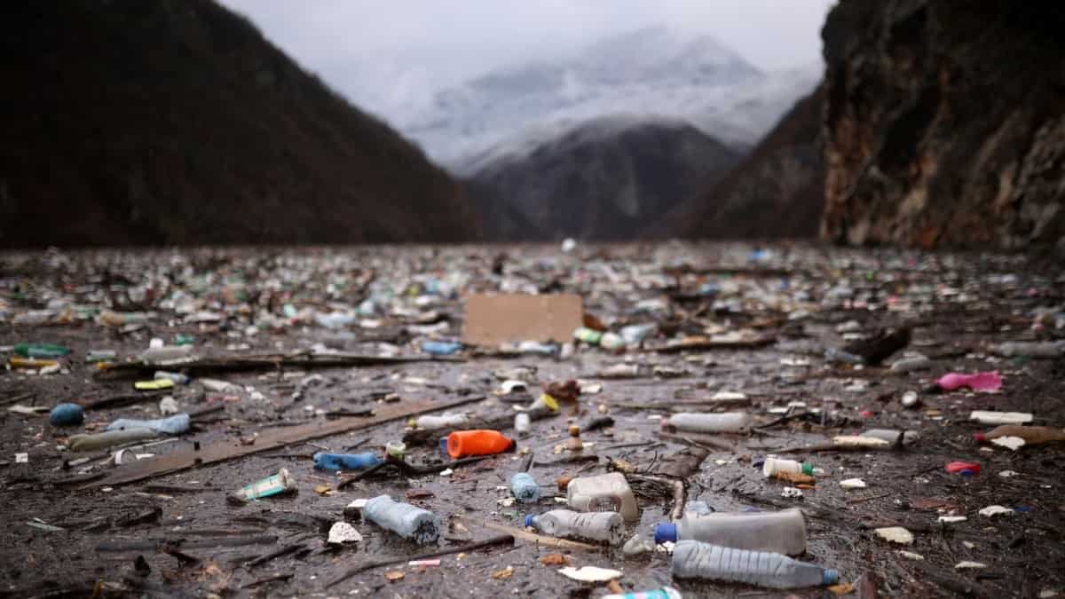 Sections of the Balkan river turn into floating rubbish dumps, experts warn of ecological disaster