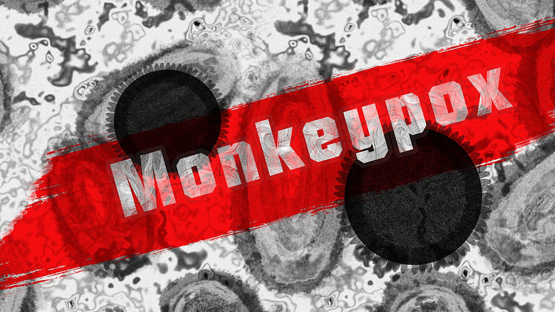 Why Did the Mpox (Monkeypox) Epidemic Wane?
