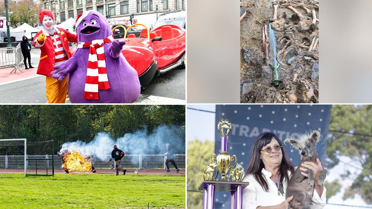 3,000-year-old sword unearthed, world's ugliest dog, Grimace shake TikTok trend: This week's offbeat news