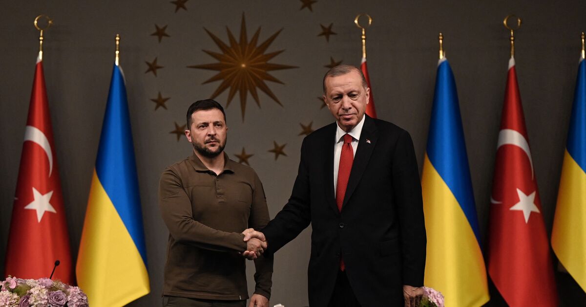 Turkey's Erdogan hosts Zelenskyy, says Ukraine 'deserves' to be NATO member