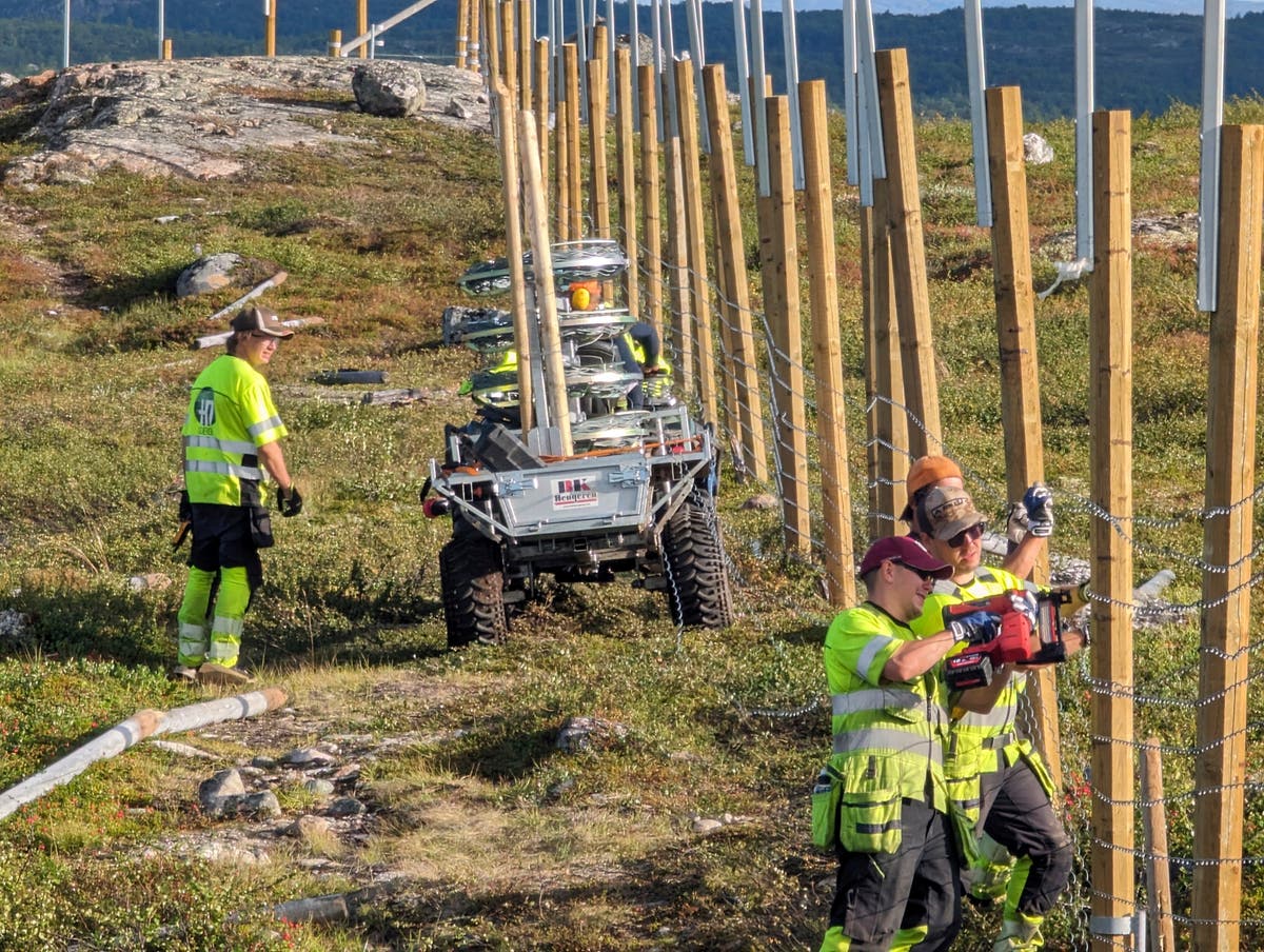 Norway rebuilding reindeer fence along border with Russia to stop costly hooves' crossings