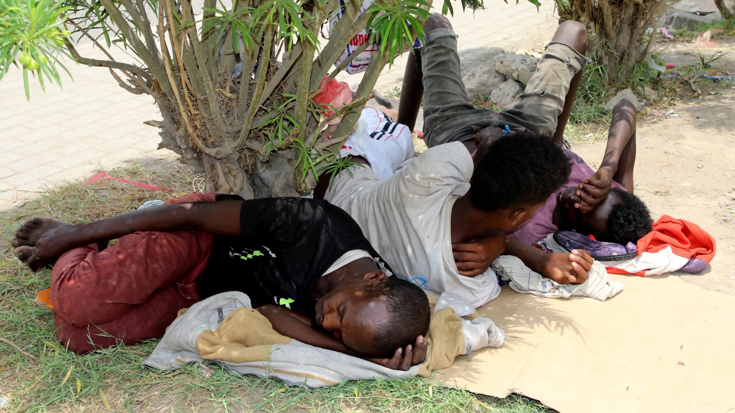 Saudi Arabia guards killed hundreds of Ethiopians along Yemen border, says report