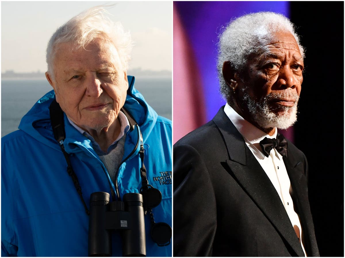 Morgan Freeman and Netflix can never hope to match behemoth David Attenborough