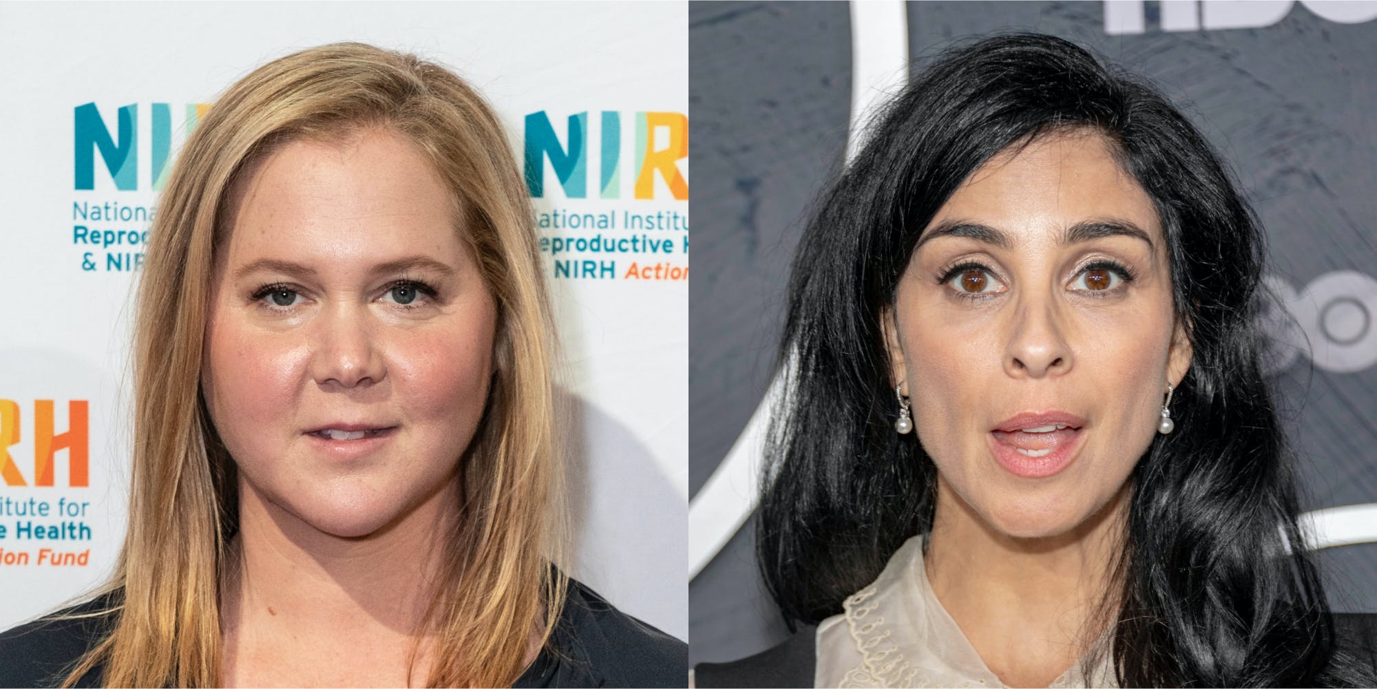 "We’ve officially reached the ‘they actually don’t deserve water and electricity’ moment": Sarah Silverman, Amy Schumer post controversial Instagram Stories