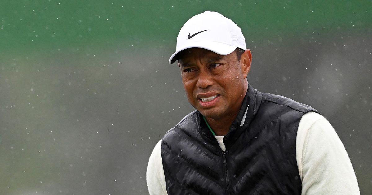 Tiger Woods will return to golf in January