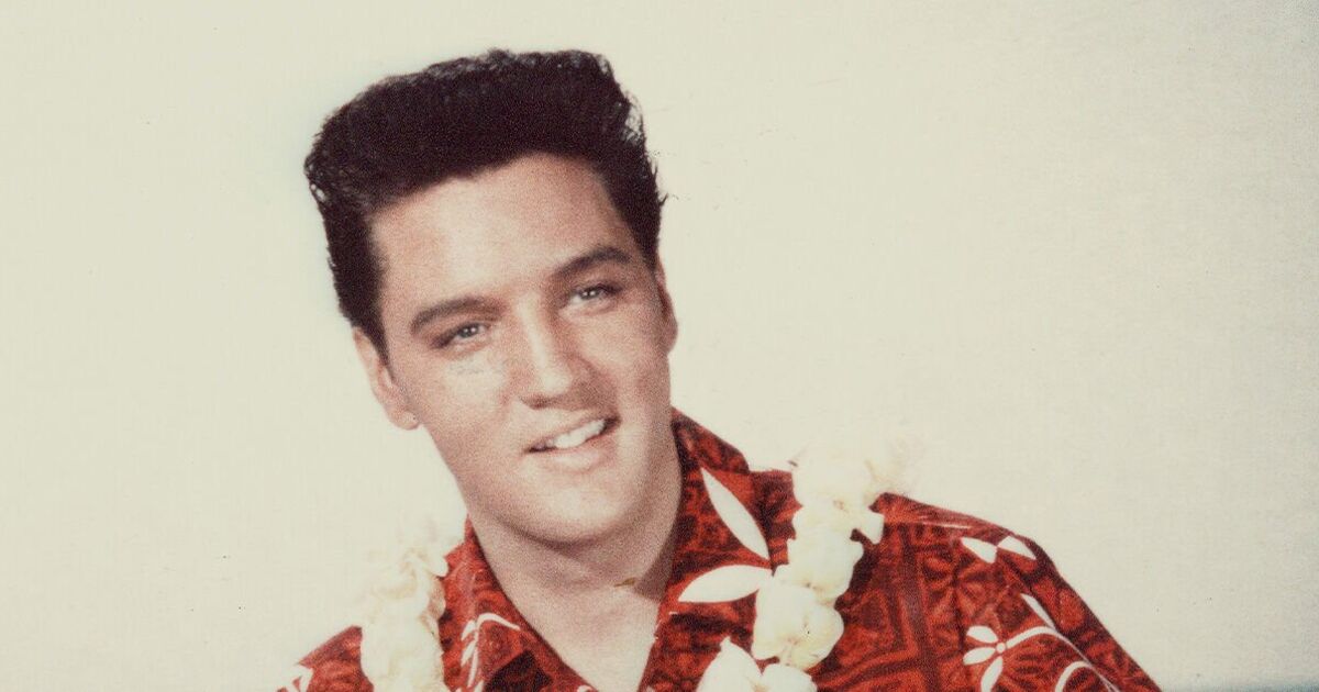 Elvis Presley knocked out 'step brother and left him on ground for 20 minutes'